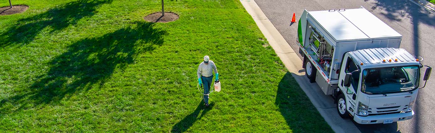 TruGreen specialist on lawn