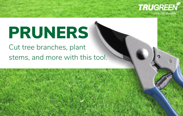 pruner infographic